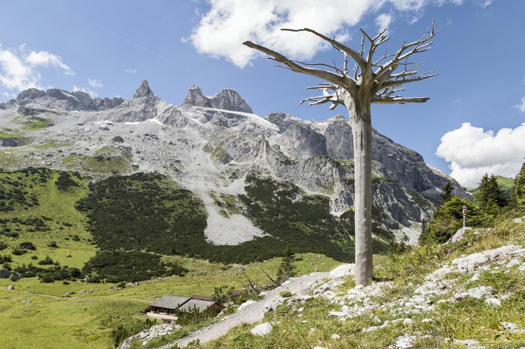 Berg-Spa & Hotel Zamangspitze Sankt Gallenkirch Esterno foto